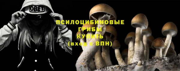 ALPHA-PVP Алексеевка