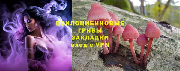 ALPHA-PVP Алексеевка
