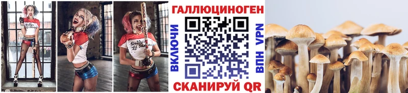 ссылка на мегу tor  Балашов  Галлюциногенные грибы Psilocybine cubensis 